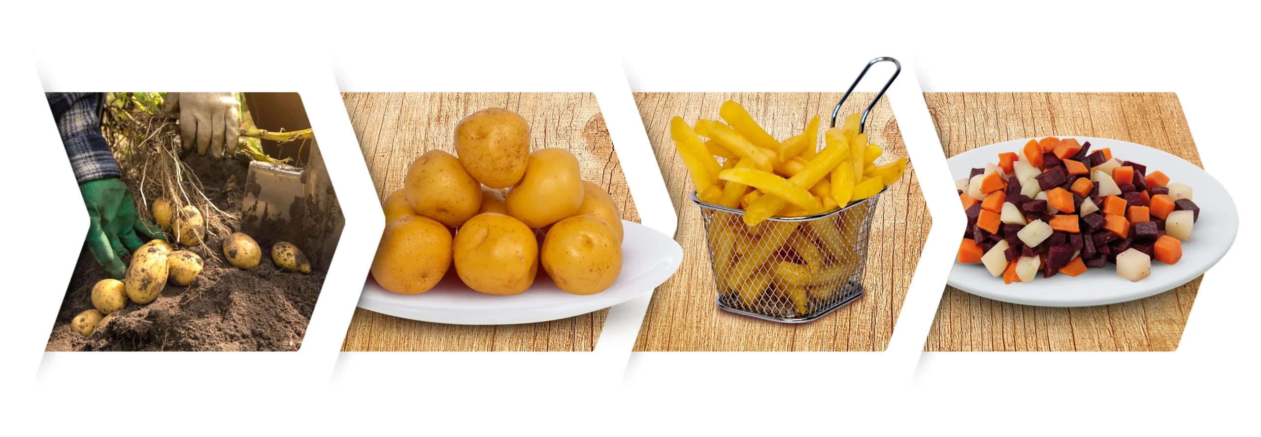 Tajacol Andean potato, French fries, and sweet potato – ready-to-cook products for foodservice and retail.