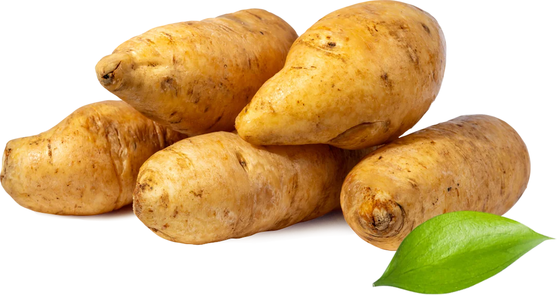 tajacol–arracacha–yellow-cassava-2